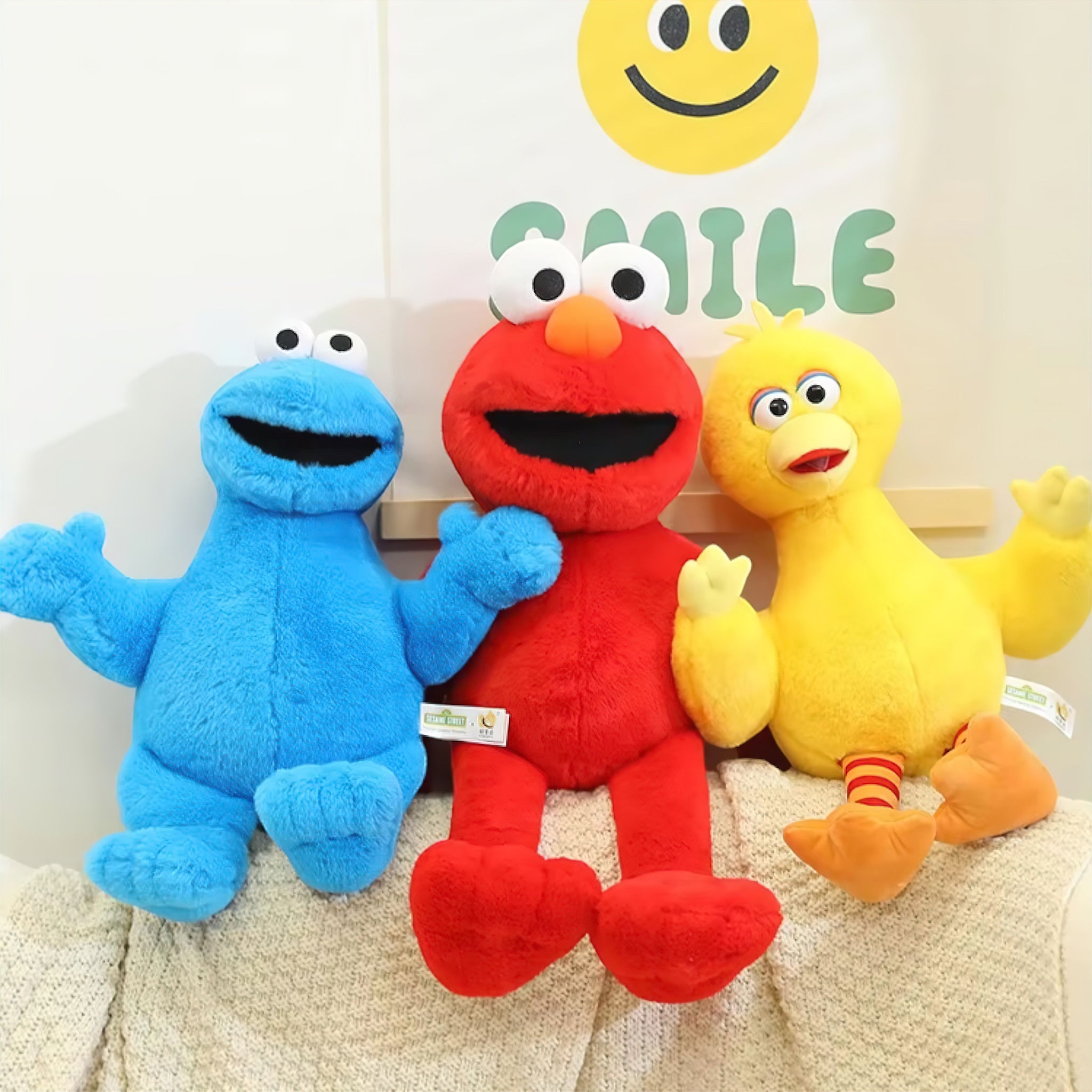 Sesame Street Buddies